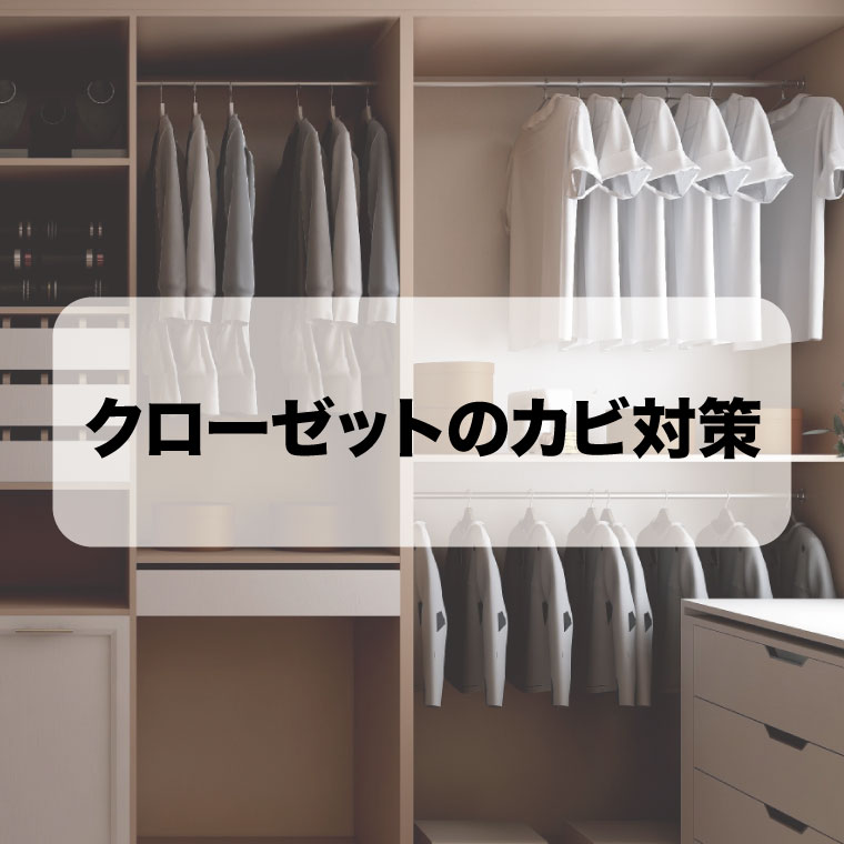 カビが発生したクローゼットは危険？カビの影響と予防方法