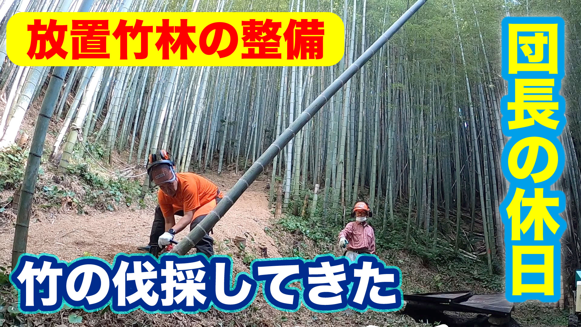 三重県桑名市の放置竹林伐採