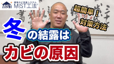 【冬の結露】冬カビの原因【簡単予防】プロもやってる