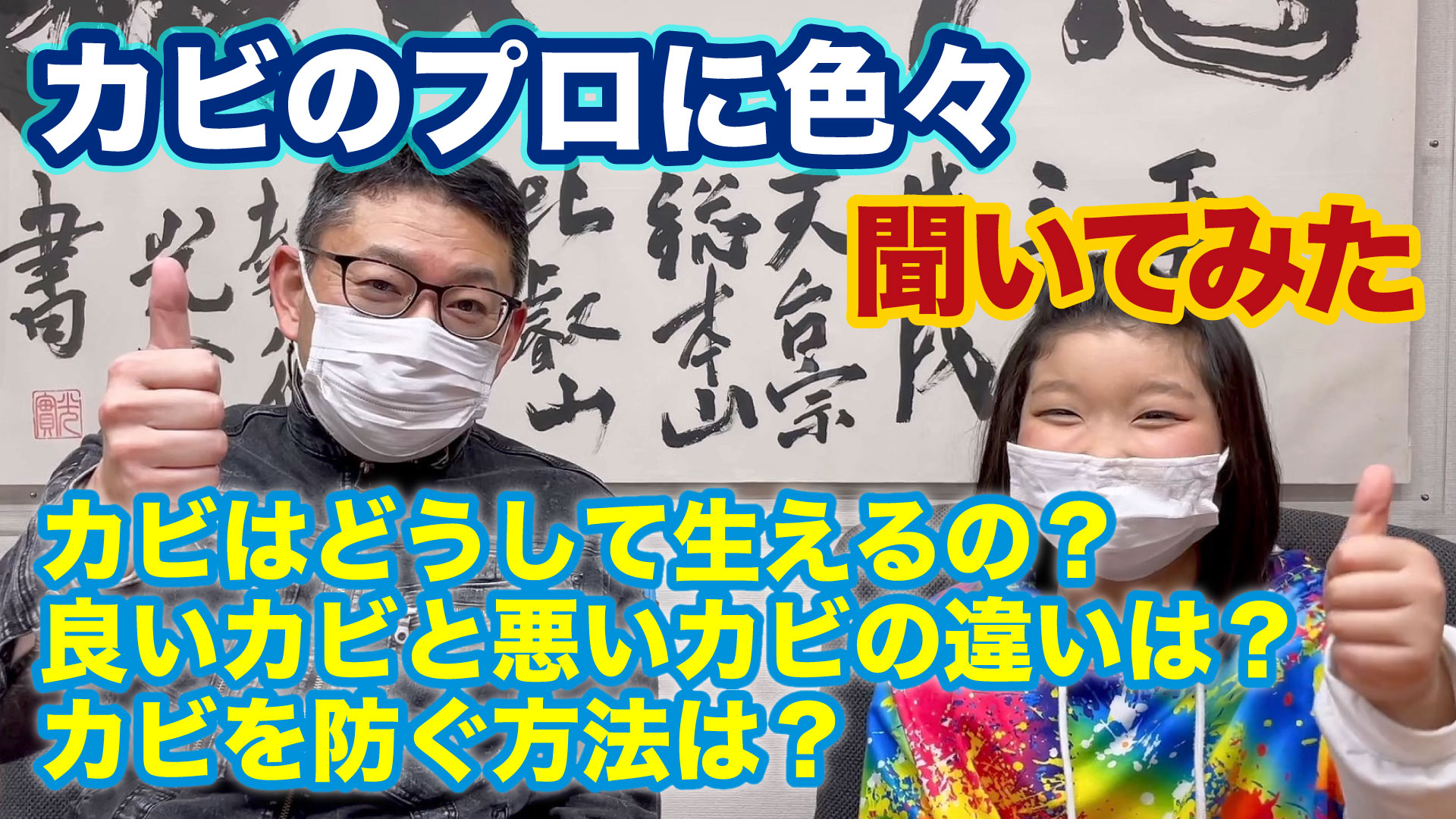 カビのプロに質問