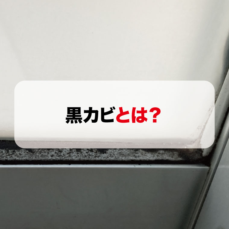 黒カビとは