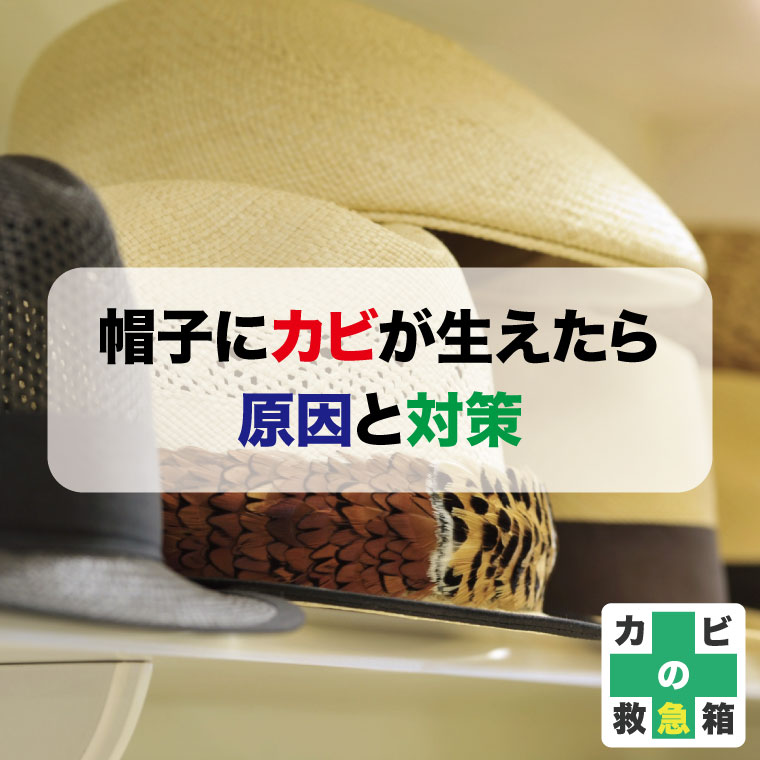 帽子にカビが生えたら – カビの原因と対策【住宅に潜むカビのリスク】