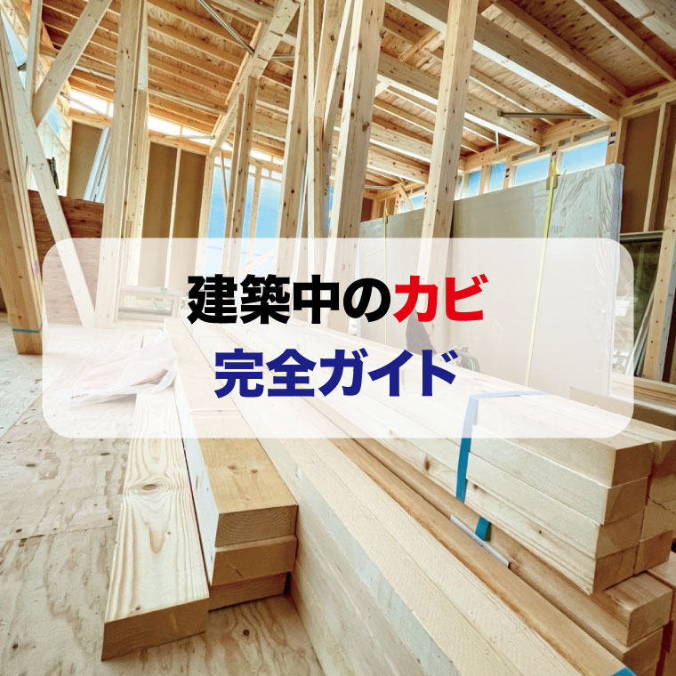 建築中のカビはカビバスターズへお任せ