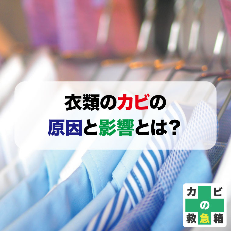 衣類のカビ原因と影響そして対策