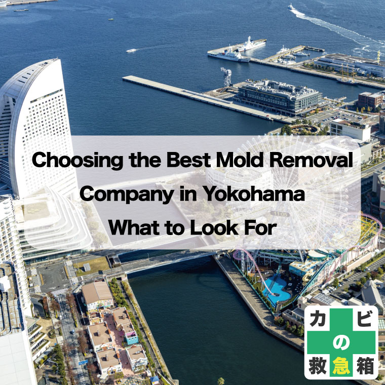 Choosing-the-Best-Mold-Removal-Company-in-Yokohama--What-to-Look-For