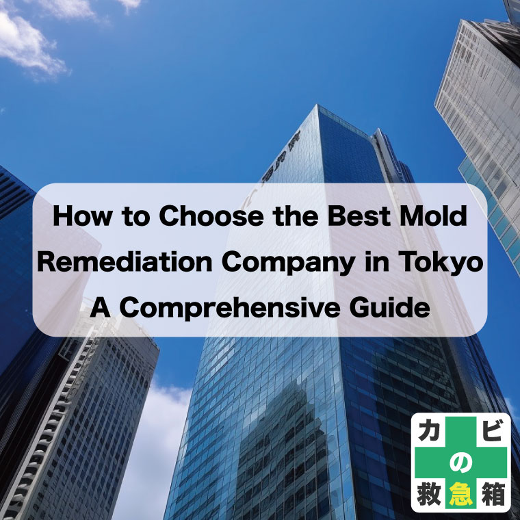 How to Choose the Best Mold Remediation Company in Tokyo: A Comprehensive Guide