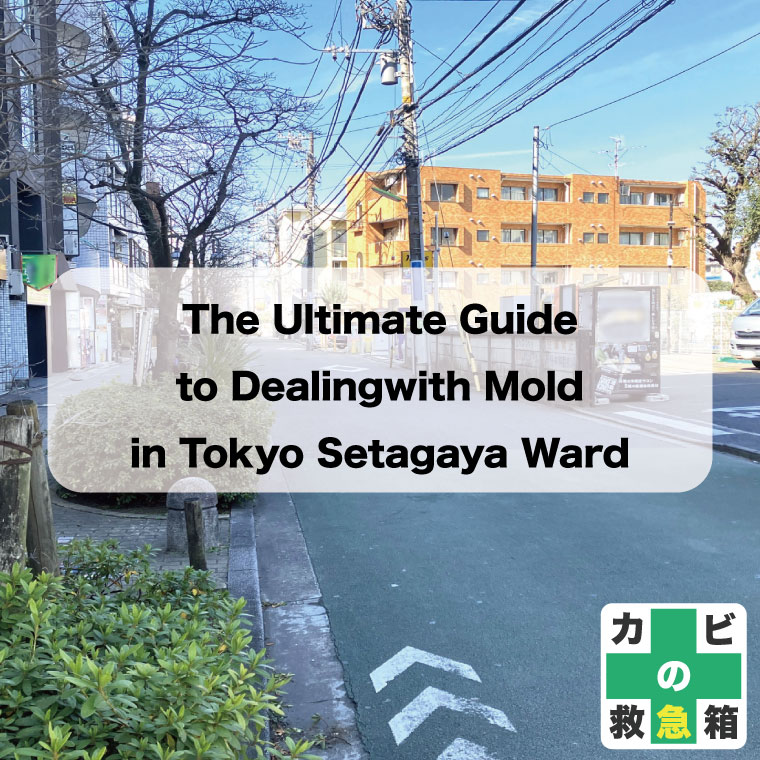 The-Ultimate-Guide-to-Dealing-with-Mold-in-Tokyo-Setagaya-ku