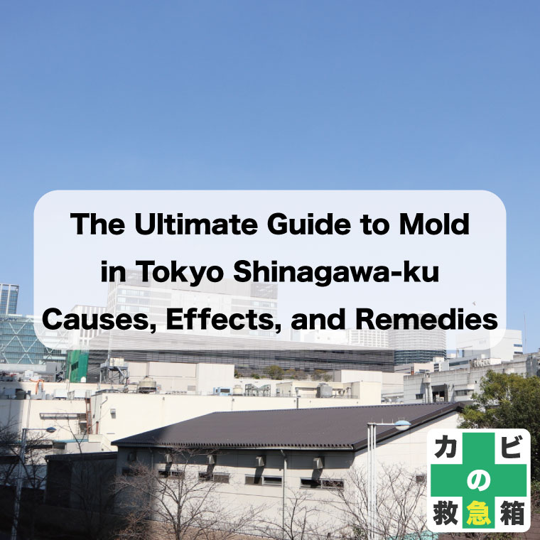 The-Ultimate-Guide-to-Mold-in-Tokyo-Shinagawa-ku--Causes-Effects-and-Remedies