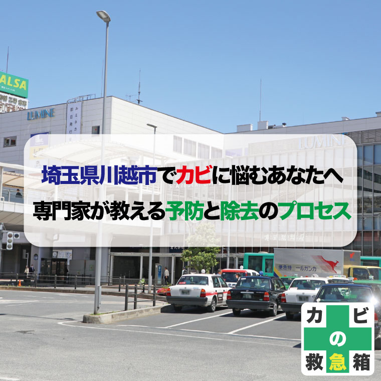 埼玉県川越市でカビに悩むあなたへ。専門家が教える予防と除去のプロセスとおすすめカビ取り業者はカビバスターズ