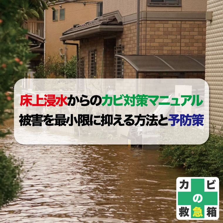 床上浸水からのカビ対策マニュアル：被害を最小限に抑える方法と予防策