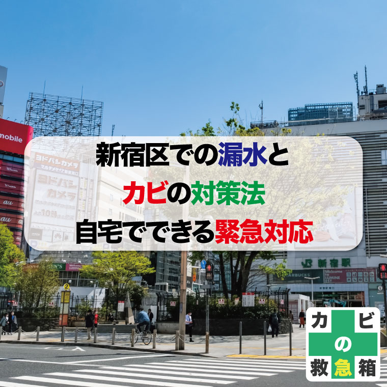 新宿区での漏水とカビの対策法：自宅でできる緊急対応