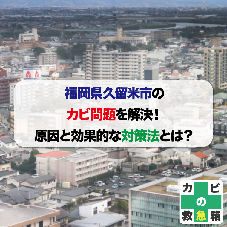 福岡県久留米市のカビ問題を解決！カビの原因と効果的な対策法とは？