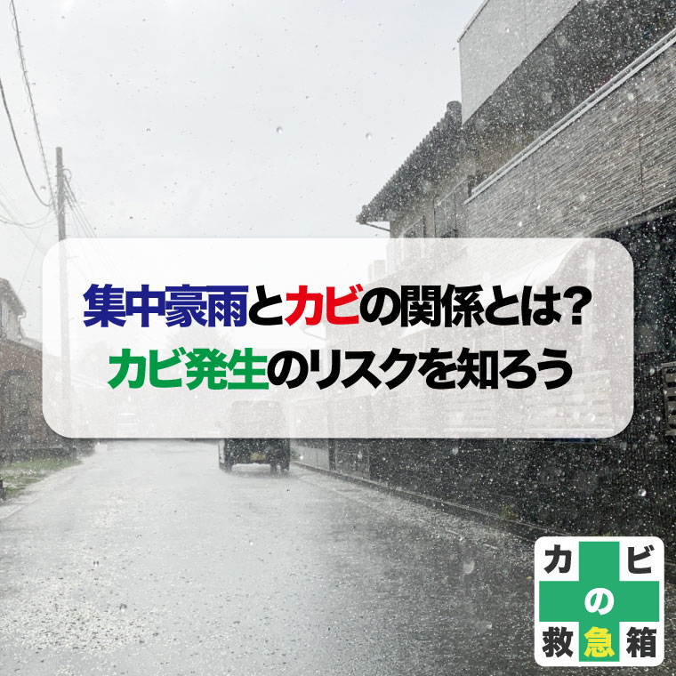 集中豪雨とカビの関係とはカビ発生のリスクを知ろうおすすめのカビ取り対策業者はカビバスターズ