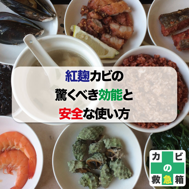 紅麹カビの驚くべき効能と安全な使い方はカビ取りカビ対策専門業者のカビバスターズへ