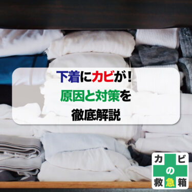 下着のカビの落とし方｜黒い点の原因と安全な除去・予防法を解説