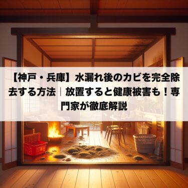 【神戸・兵庫】水漏れ後のカビを完全除去する方法｜放置すると健康被害も！専門家が徹底解説
