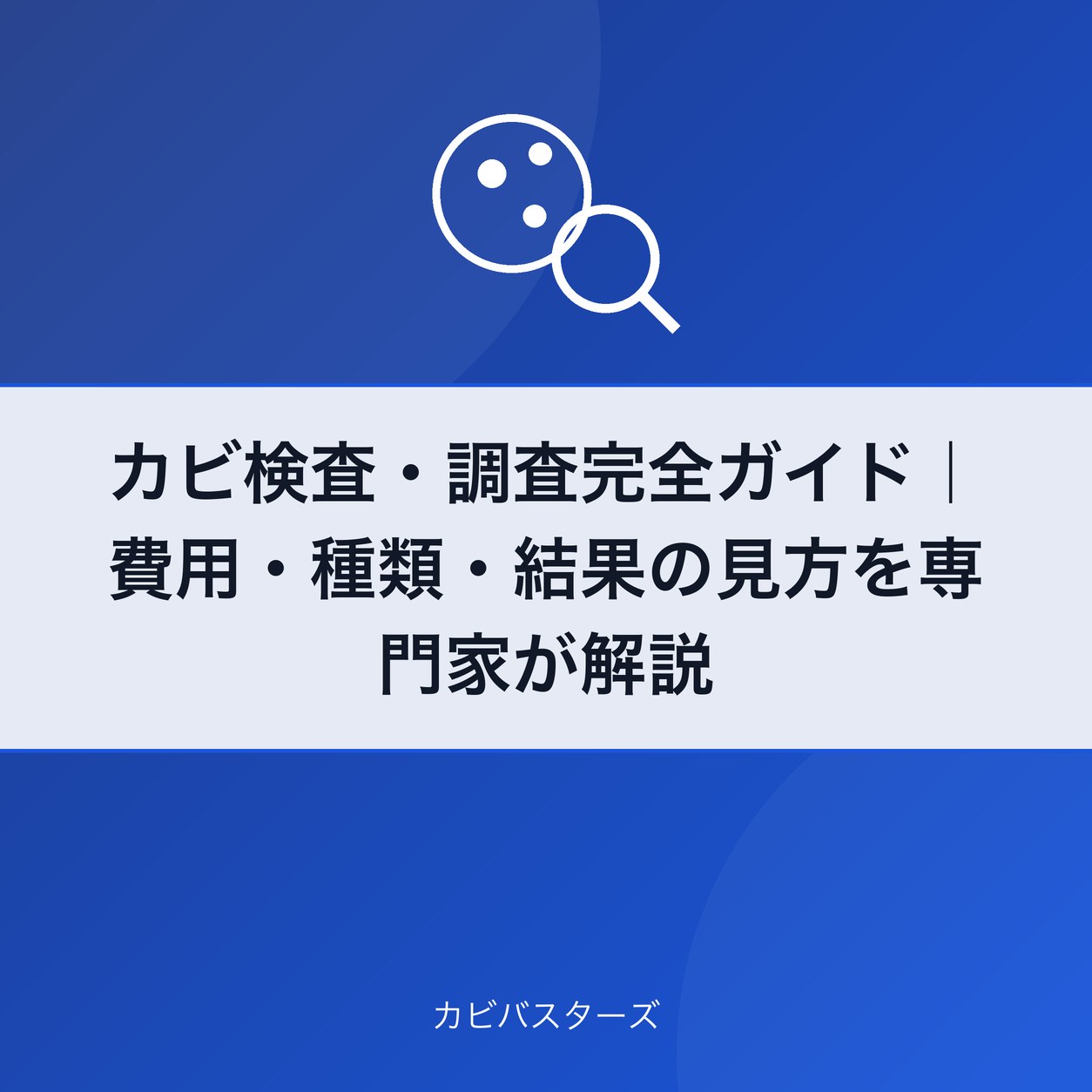 カビ検査・調査完全ガイド|費用・種類・結果の見方を専門家が解説